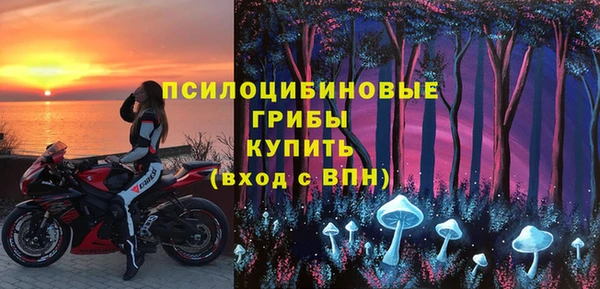 дурь Мегион