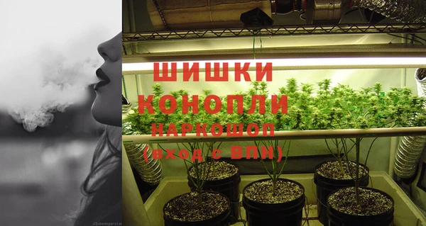 дурь Мегион