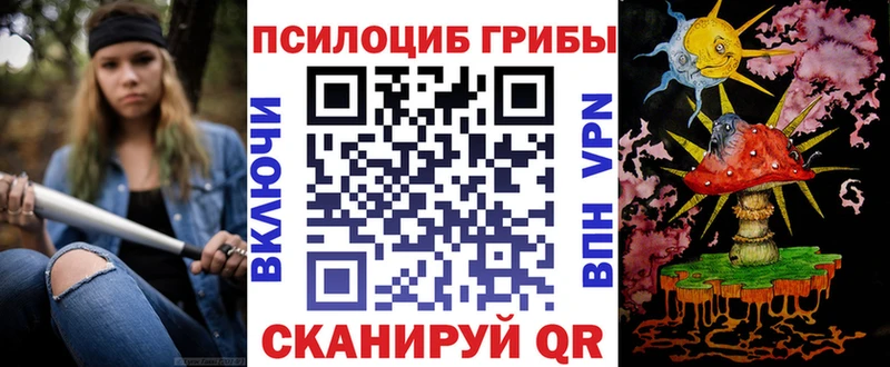 Псилоцибиновые грибы прущие грибы  Шлиссельбург 