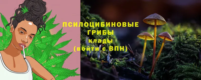 даркнет клад  Шлиссельбург  Псилоцибиновые грибы Magic Shrooms 